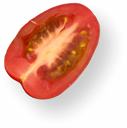 Tomato